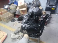 WhatsApp Image 2023-12-03 at 19.44.30_91b037d5.jpg