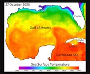 Screenshot_20251029_152218_Chrome.jpg Screenshot_20251029_152218_Chrome.jpg