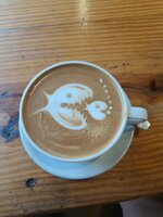 WhatsApp Image 2026-02-06 at 08.07.021.jpeg