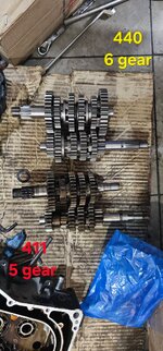 WhatsApp Image 2026-03-31 at 16.16.01 (1).jpeg