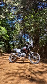 WhatsApp Image 2026-03-29 at 11.00.49 AM.jpeg