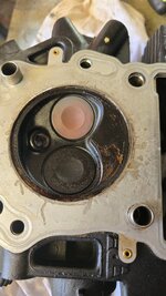 20250805_130237.jpg
